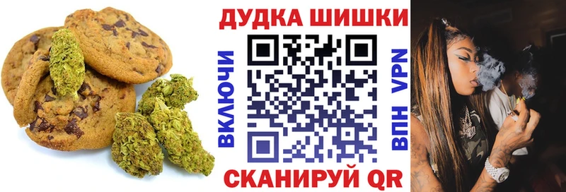 мега маркетплейс  Балашиха  Canna-Cookies марихуана  наркота 