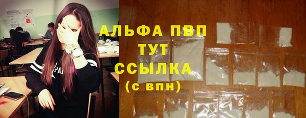 СК Аркадак
