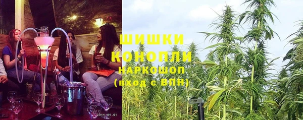 СК Аркадак