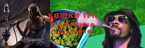 СК Аркадак