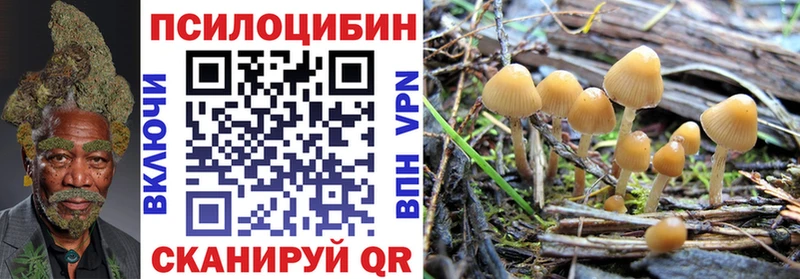 Галлюциногенные грибы мицелий  Балашиха 